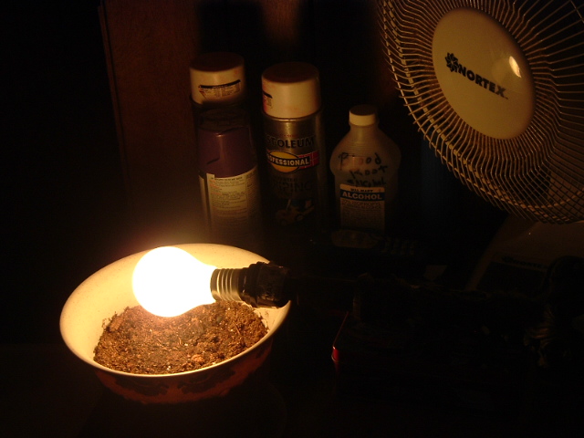 This is my setup for now in my spare bedroom One Fan, One 75Watt bulb in small house lamp, 2 seeds in soil