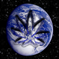 world weed!