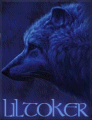 Lil Toker Blue Wolf