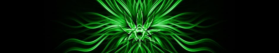MMJ signature banner image
