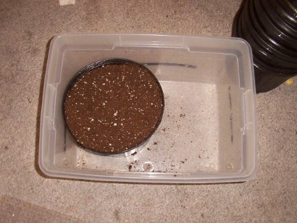 Get 3 gal pots.I got 18 from a nursery for $3.00.Soil medium should be pro-mix,Fertalome, or anything mainly Sphagnum moss and perlite.Remember It does not contain many nutrients so you will be adding them.IF YOU ARE GOING TO GROW TOTALLY ORGANIC DO NOT GET A POTTING SOIL WITH MICRO NUTRIENTS,YOU ARE DEFEATING THE PURPOSE.SOIL YOU WILL BE USING IS CALLED SOIL MEDIUM. Get a large rubbermaid container and put you pot in there and fill the pot,lightly packing down as you go. Your bag should say how many quarts it will fill.For a 3 gal pot it will take 12 quarts of soil.My 16 pots used a total of 3 50 quart bags.....150 quarts of medium. 