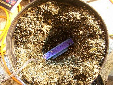 I'm adding an airstone to introduce extra o2 to the roots.roots thrive with alot of oxygen.I added it to my smallest plant to see what happens