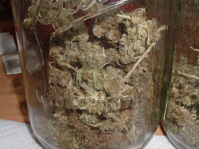 A closeup of one of the jars.