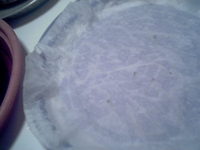 I am germinating my seeds right here. They are on a plate with 1 paper towl on bottom and 1 over them.... 