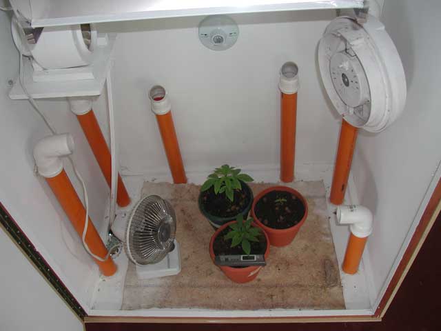 Inside of the grow room with lights off. I have to pull out the filters and add extra fan to maintain heat off...