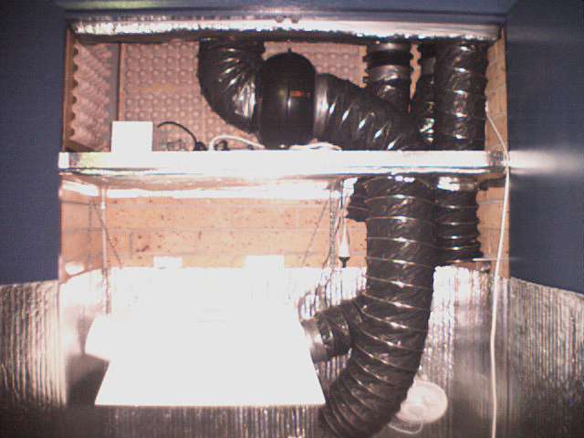 Topshelf before it was sealed in. Three fans mounted to the wall and the fourth intake fan on the shelf