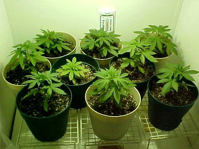 Another group shot.. Day 29