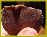 bubble bag hash