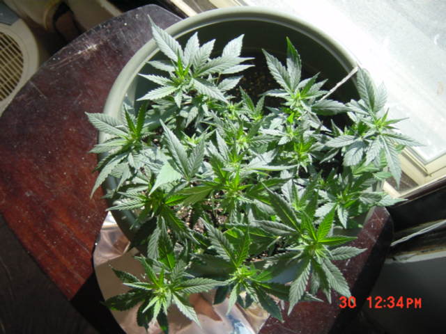 day 10 suckin it up