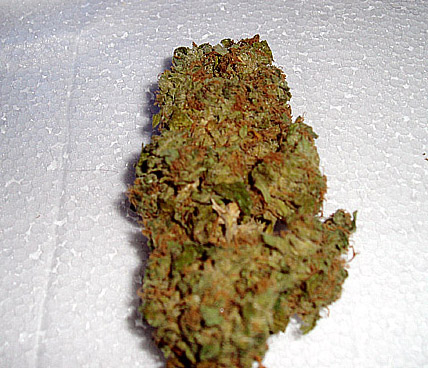 Close up