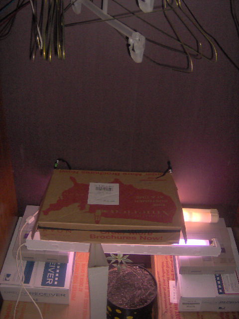 complete setup. in my wardrobe lol
