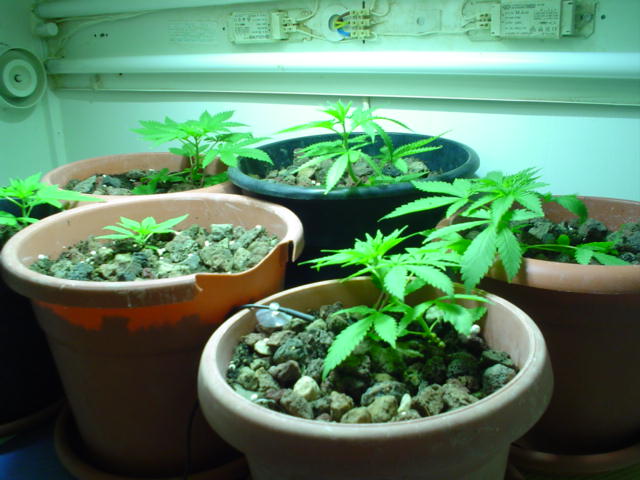 group shot