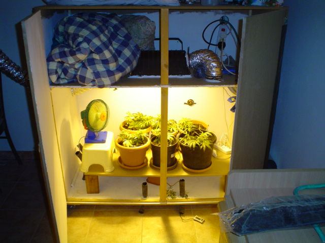 The setup.....