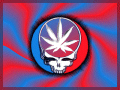 psychadelic grateful stoned