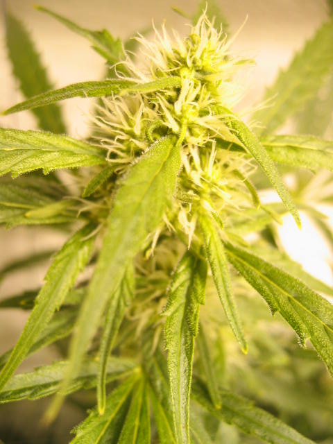 almost week 4