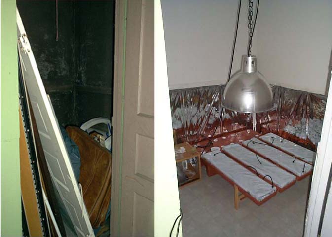 Pictures of room before and after.