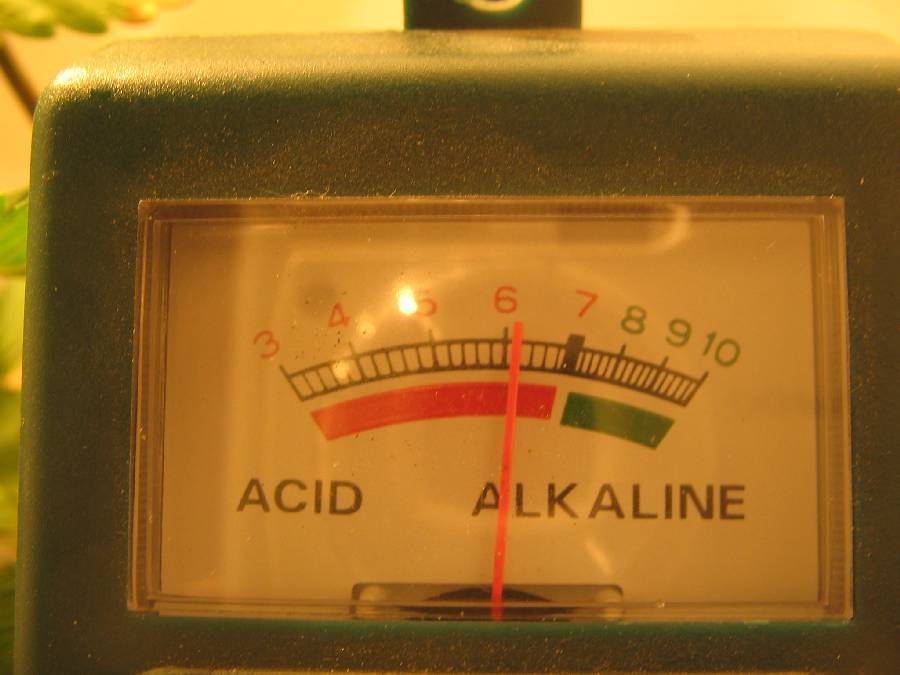 PH level.