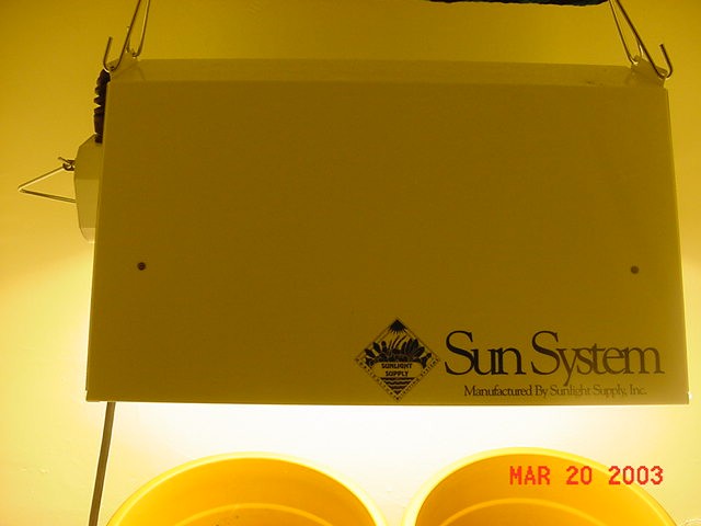 400HPS SunSystem
