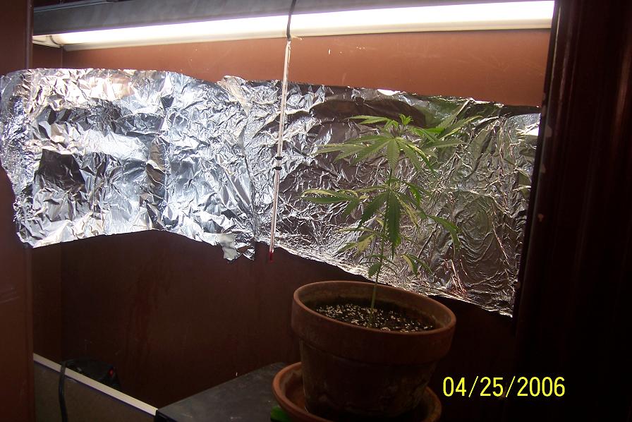 setup again with the light