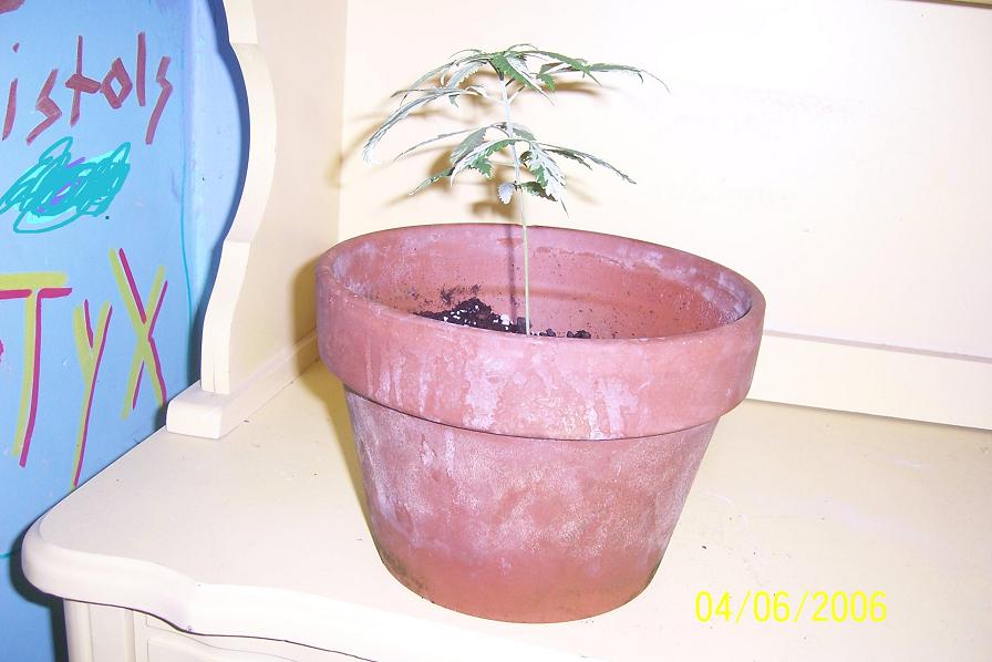side view at a month