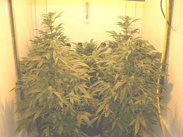 24 days in