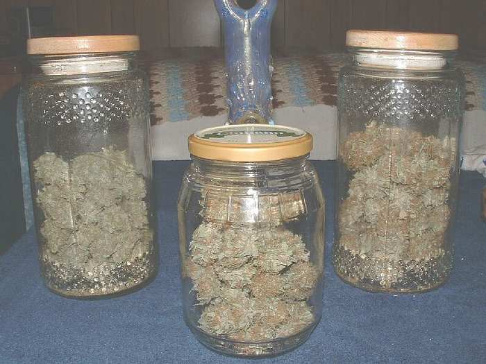 ATF, Hindu, & Mango in jars