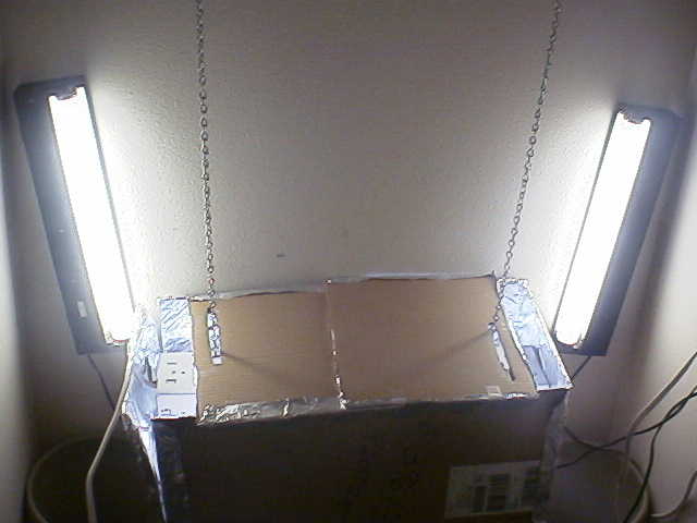 You've heard the rumor about weed causing flacidness, well take one look at this box and you'll get a BONER!!