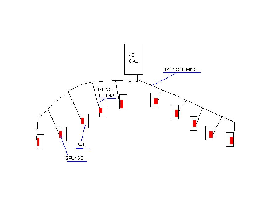 HERE IS MY PLAN FOR MY OUTDOOR GROW
LET ME KNOW WHAT YALL THINK???????