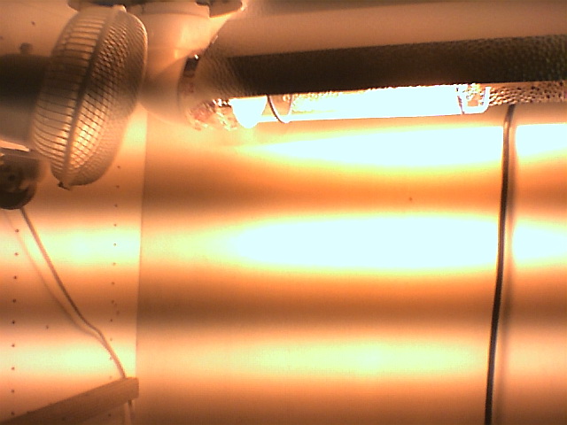 A picture with the light on and the fan going.  there is a 465 grotek fan ontop of the box for ventilation.