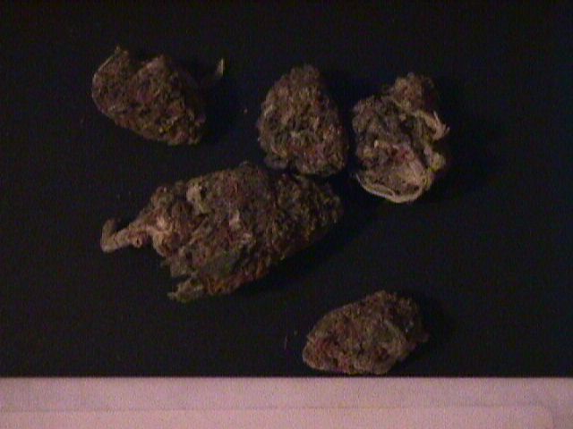 This is a picture of some kind bud I obtained