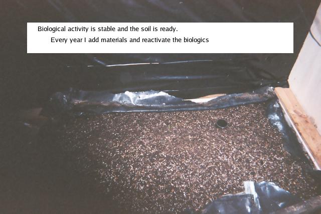 Here is the ready soil.  The Bio-activity has slowed down and the pile is cool now so it's time to move on.
 