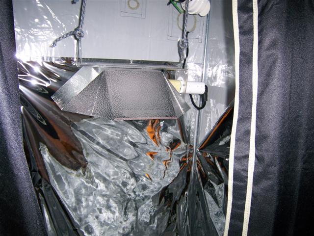 250 watt hps with a air blower
