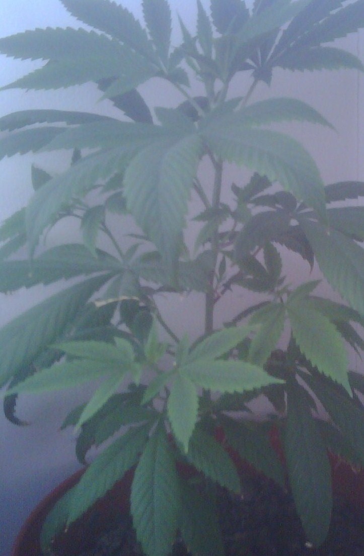 About 2 months
