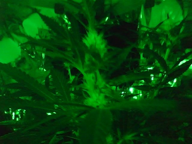 It's been less then three weeks and it is looking so good.