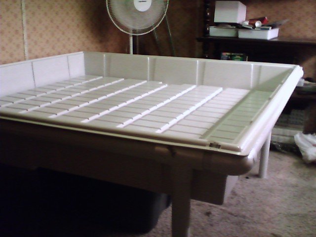 I have finished the stand and the tray fits nice. I will be able to flower at least 16 clones at a time in this room.