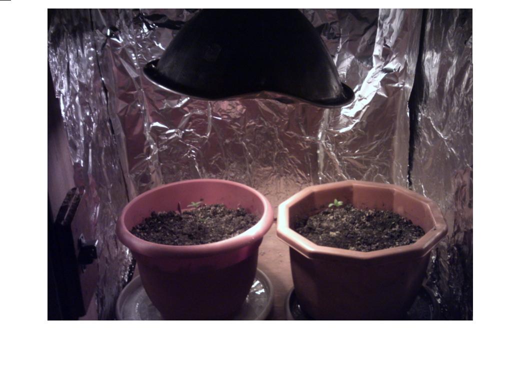 this is the setup i know aluminum foil sux but its better than nothing its a 2 x 2 rigged in my friends closet