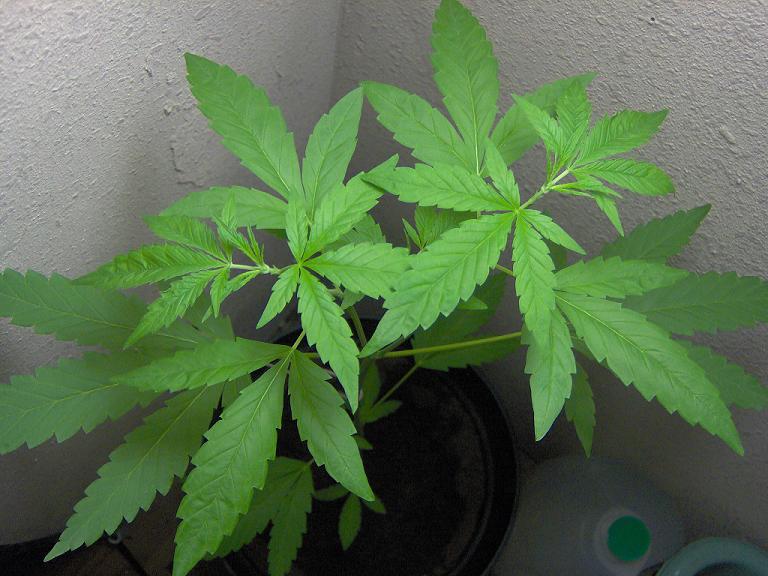 This is my favorite pic. Just look at it, its bueatiful. Dont you think so? It makes my mouth water.
