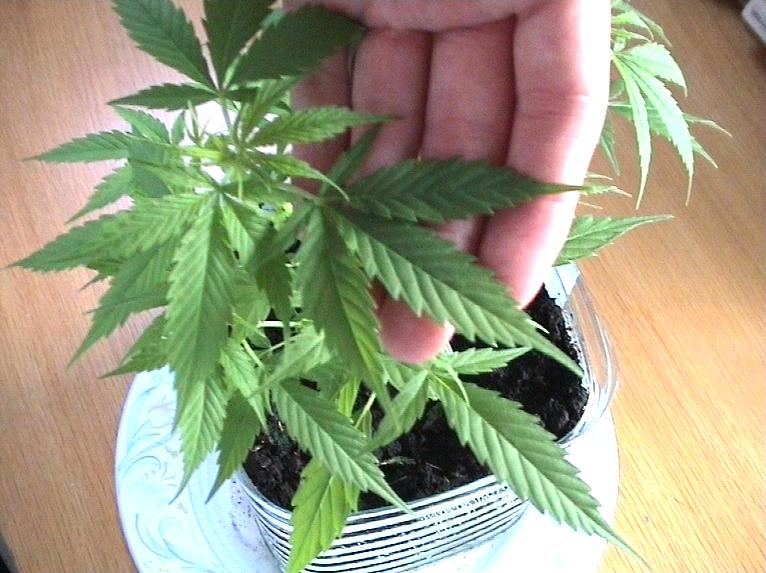 Week1