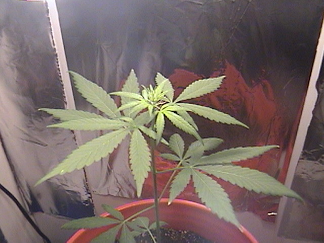 different angle