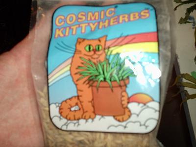 might try to market to cats my cats eat all the time it's only illegal for humans?