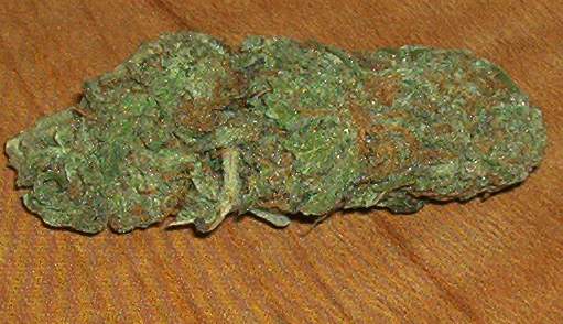 this is just a pic of some pot my friend grew.