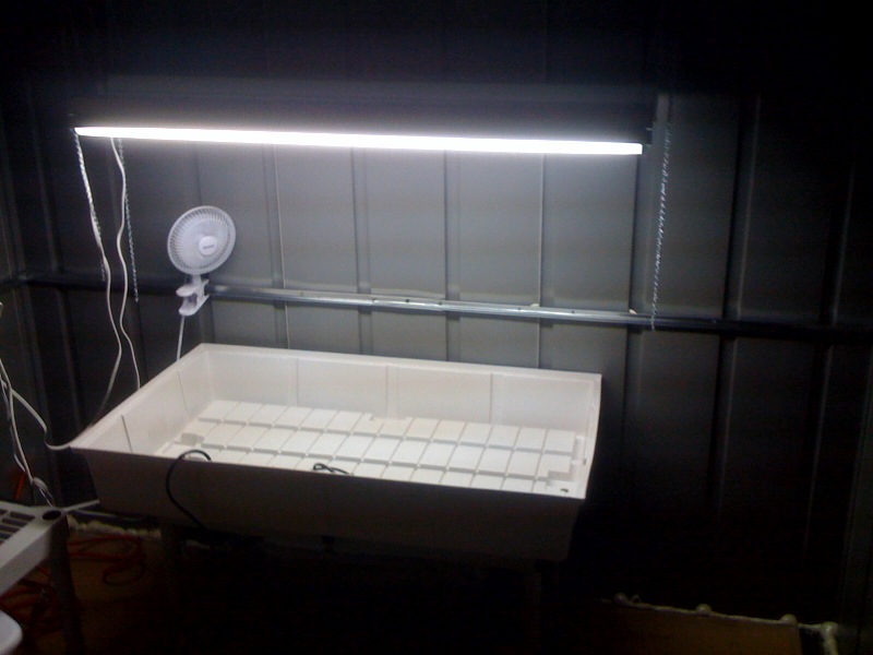 4 30w flourecent