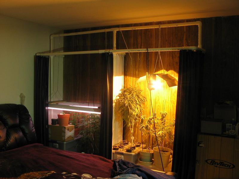double grow booth 