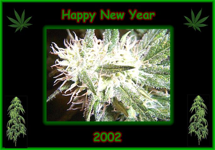 Happy New Year