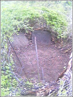 This is what my garden looked like after preparations were made for the  transplanting 