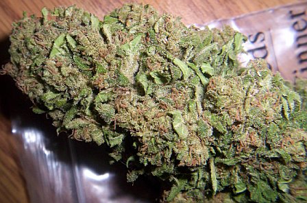 15 day cure, 