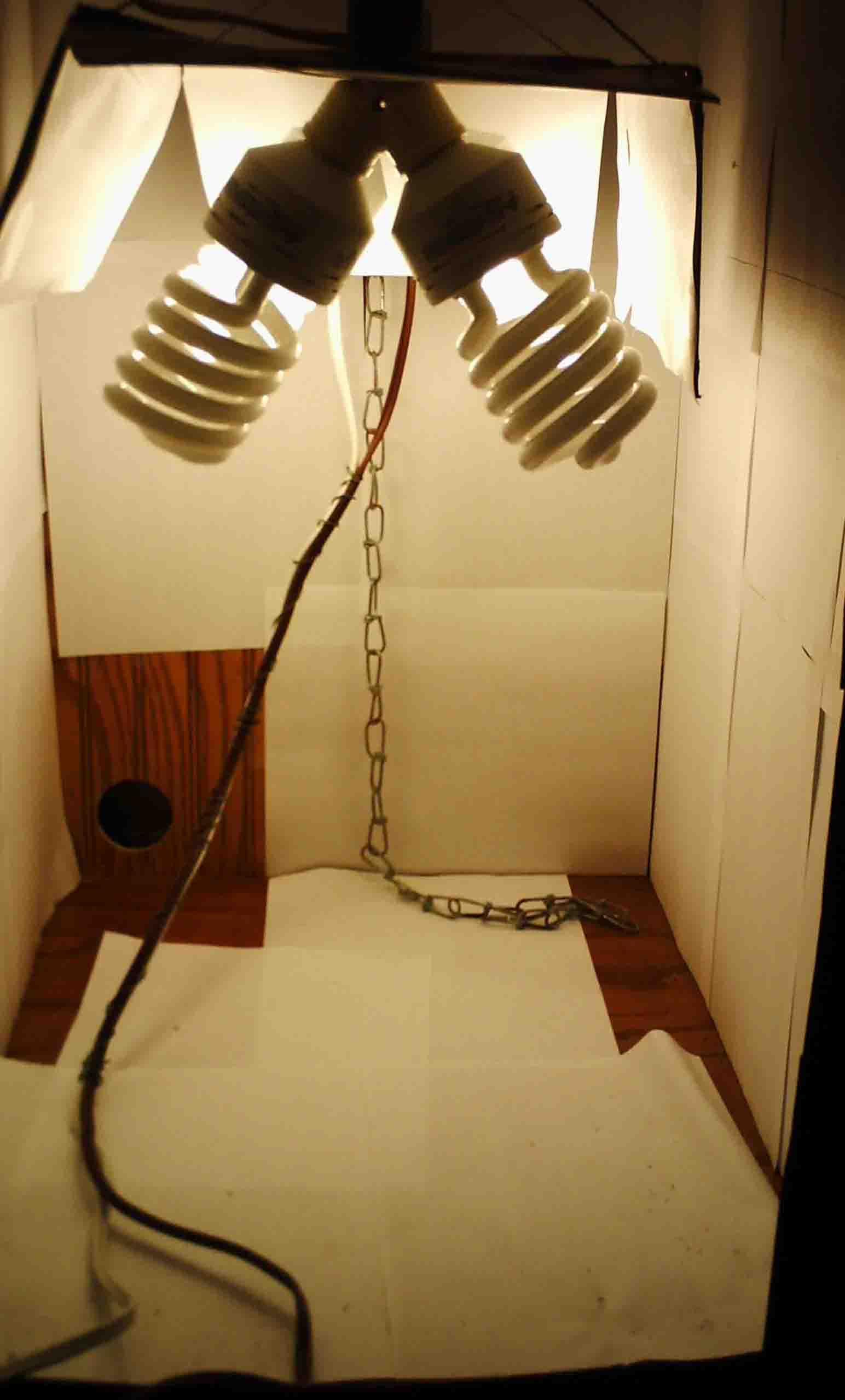 Grow room with nothing in it
