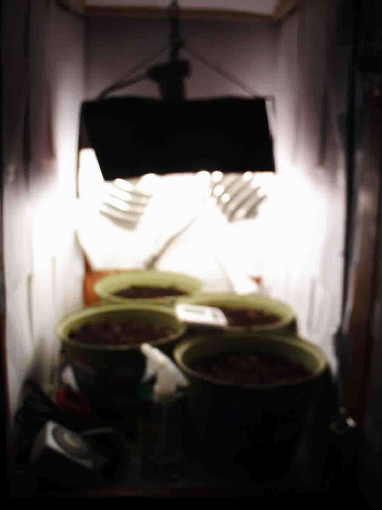 grow room with pots and electrical inside. Its a lil blury ill take more of it later.