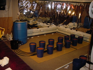 55 gallon res.  Pump. 12 of 48 possible 2 gallon double buckets.Did not use. Went soil instead. Nice system though. 