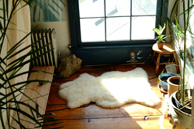 smoke room/grow room if you call it that